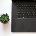 laptop, plant, desk, notebook, tech, computer, table, office, work, programmer, business, coffee, nature, website, technology, pen, creative, life, paper, placeholder, succulent, cactus, green, botanical, leaves, home